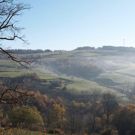 Gites Le Chene & Le Tilleul Saint-Romain-de-Lerps Exteriör bild