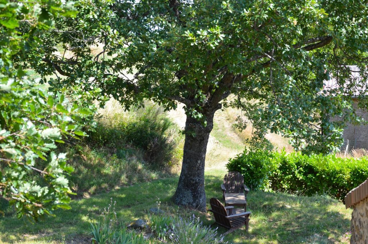 Gites Le Chene & Le Tilleul Saint-Romain-de-Lerps Rum bild